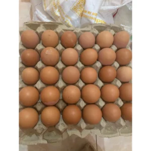Telor Ayam Negeri 6 Butir (PENGIRIMAN KHUSUS WAJIB TANYA ADMIN & BACA DESKRIPSI)